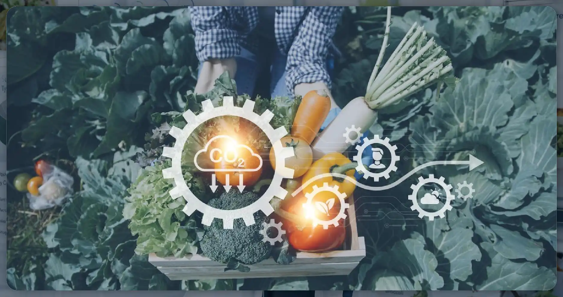 The Growing Importance of Digital Food Data in Public Health